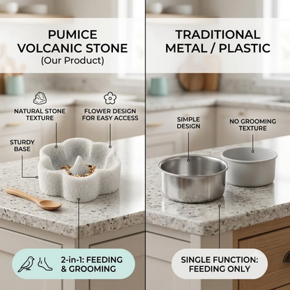 🐦2-in-1 Pumice Bird Food Bowl🐦