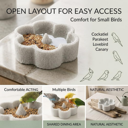 🐦2-in-1 Pumice Bird Food Bowl🐦