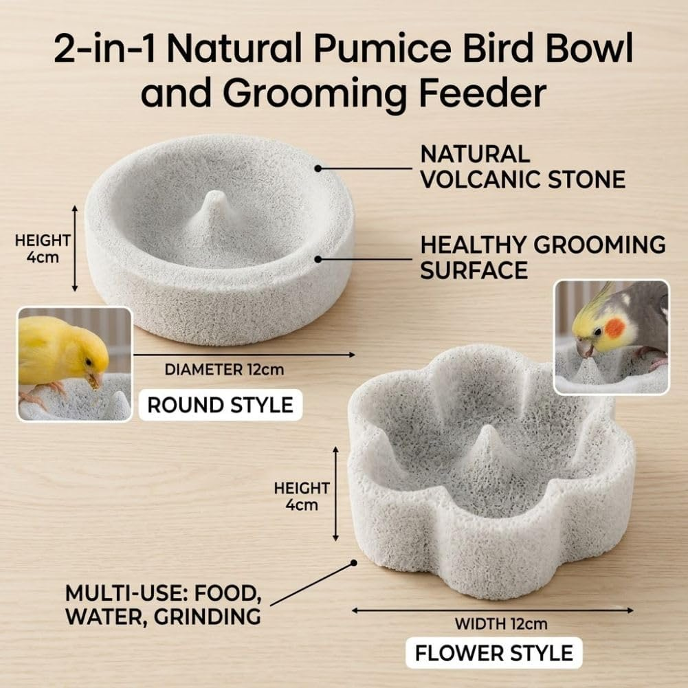 🐦2-in-1 Pumice Bird Food Bowl🐦
