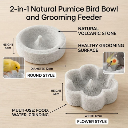 🐦2-in-1 Pumice Bird Food Bowl🐦