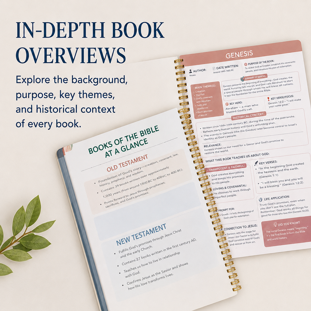 ✝️ The Bible Study Guide 📖