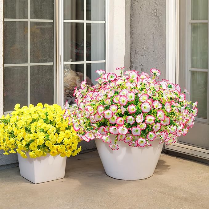 🌸 Spring Summer Home Decoration - 🌿  Morning Glory