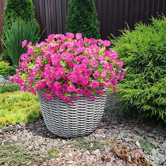 🌸 Spring Summer Home Decoration - 🌿  Morning Glory