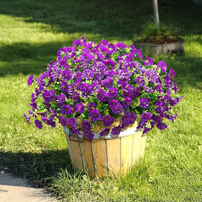 🌸 Spring Summer Home Decoration - 🌿  Morning Glory