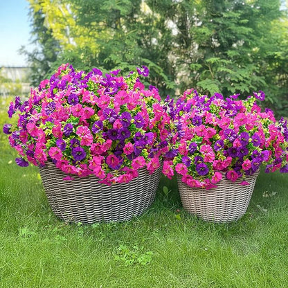 🌸 Spring Summer Home Decoration - 🌿  Morning Glory