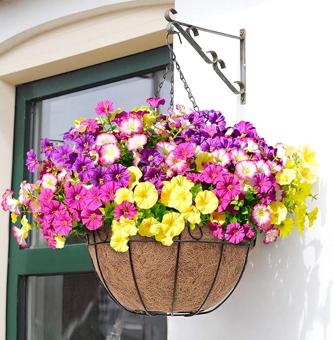 🌸 Spring Summer Home Decoration - 🌿  Morning Glory