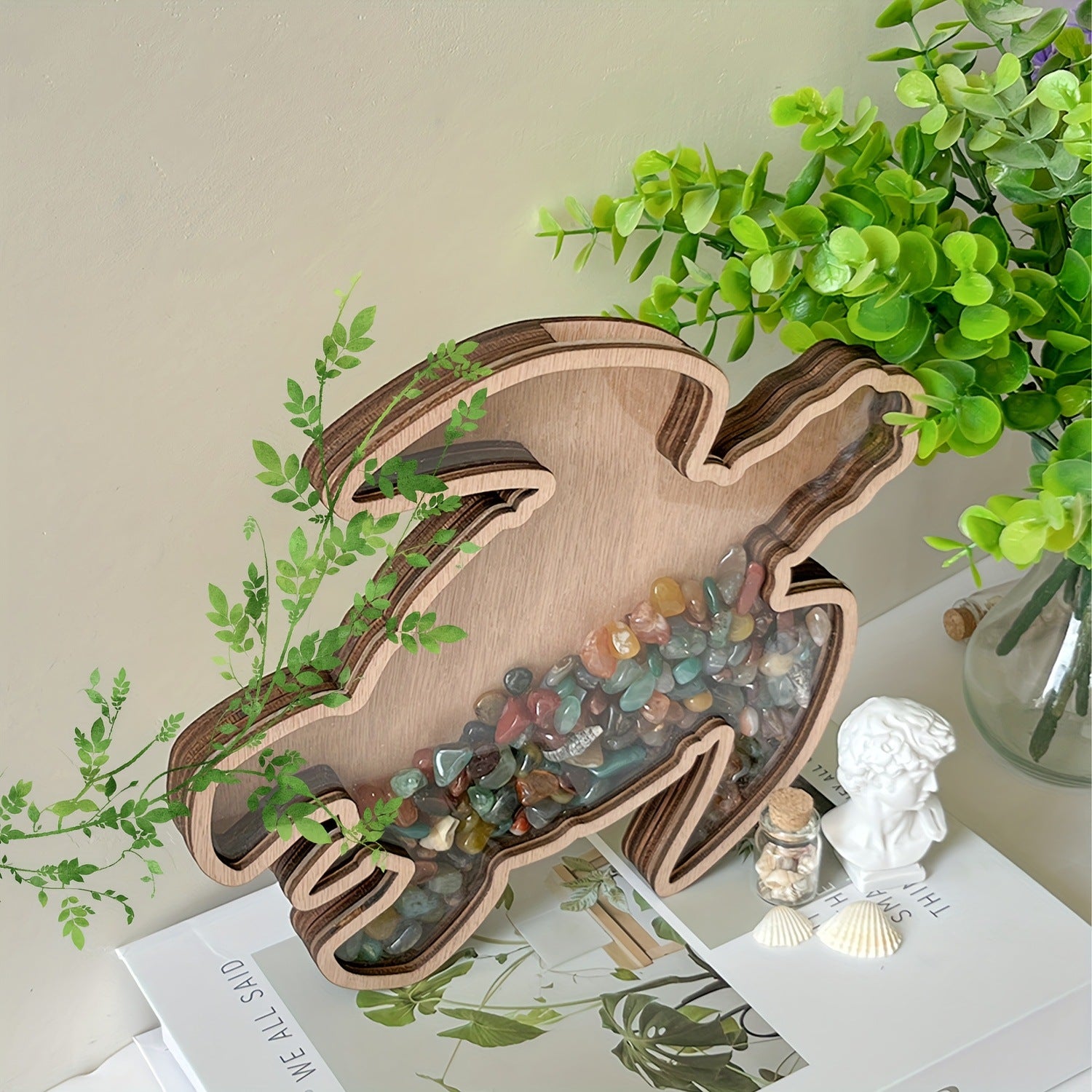 🌊Sea Shell Display Box Wooden Starfish Holder