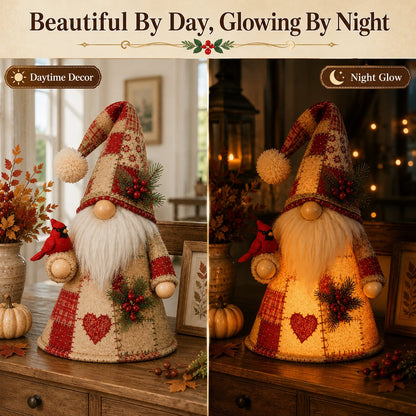 🔥LAST DAY 49% OFF 🐦 Patchwork Bird Gnome Light | Farmhouse Holiday Decor