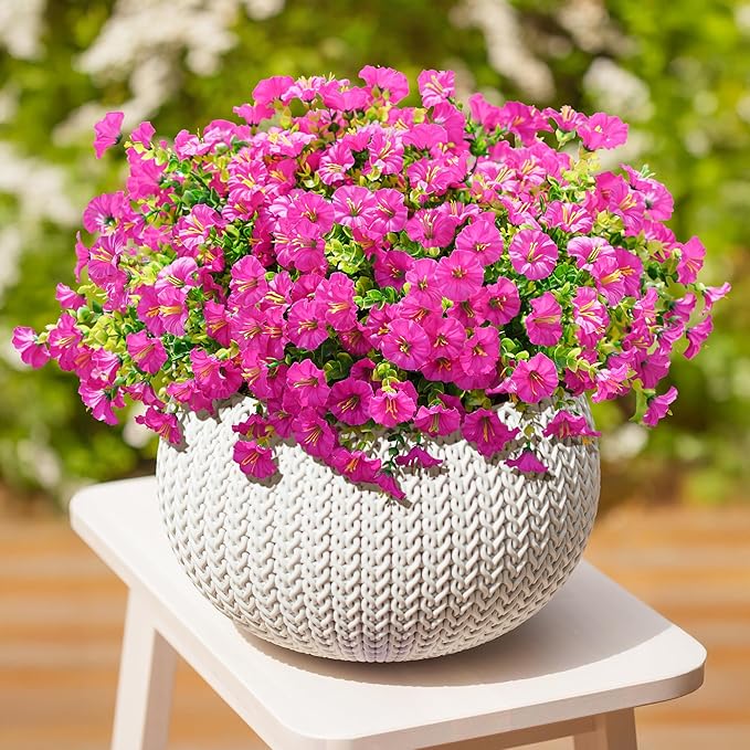 🌸 Spring Summer Home Decoration - 🌿  Morning Glory