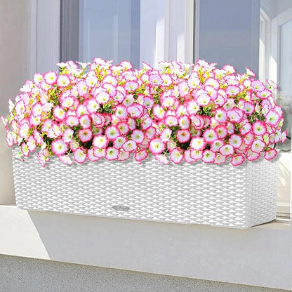 🌸 Spring Summer Home Decoration - 🌿  Morning Glory