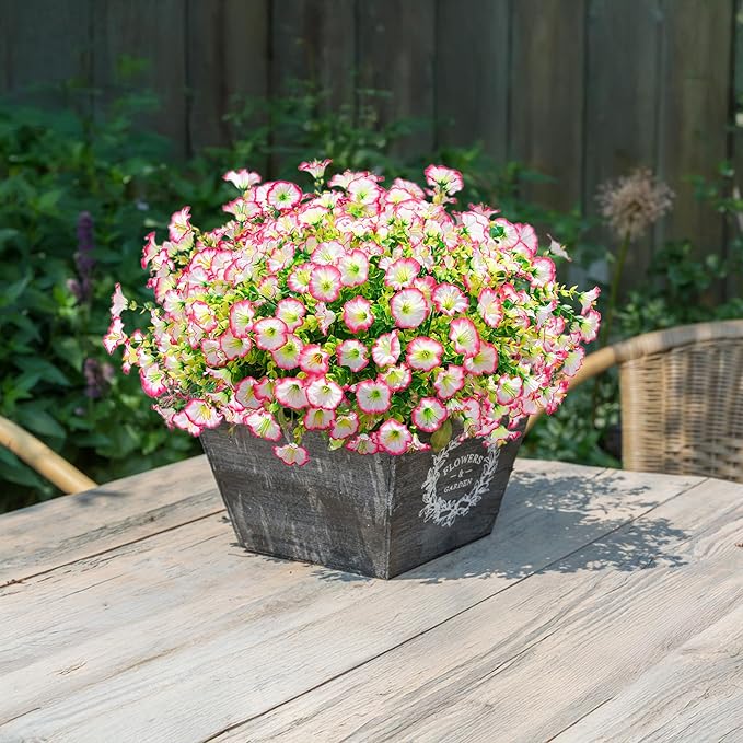 🌸 Spring Summer Home Decoration - 🌿  Morning Glory