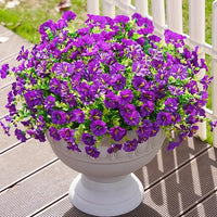 🌺6 Bundles of Purple