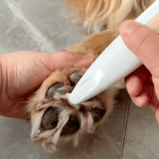 LED Pet Paw Trimmer｜Ultra‑Quiet Safe Grooming Clipper for Dogs & Cats🐩